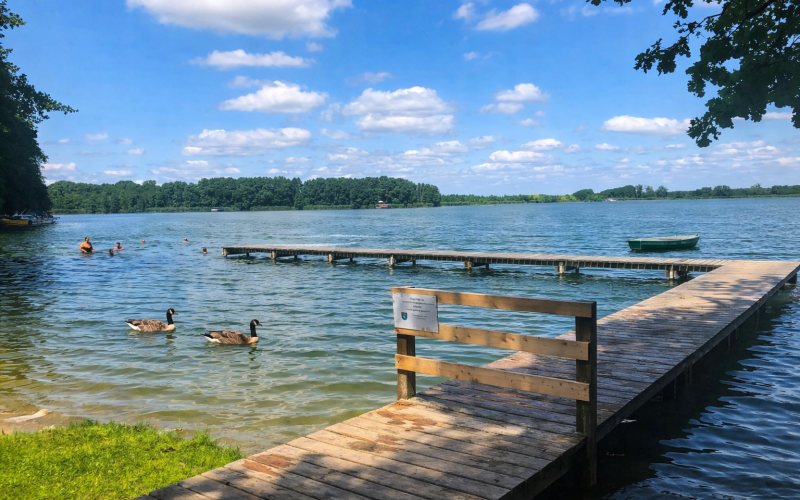 Rietzer See und Netzener See